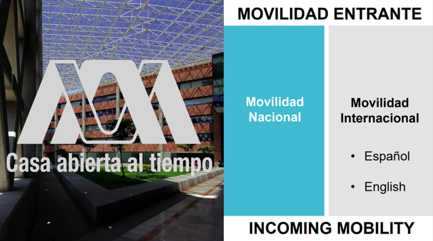 Requisitos